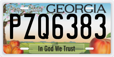 GA license plate PZQ6383