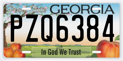 GA license plate PZQ6384