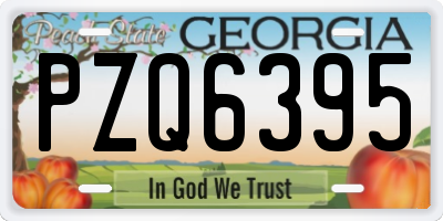 GA license plate PZQ6395