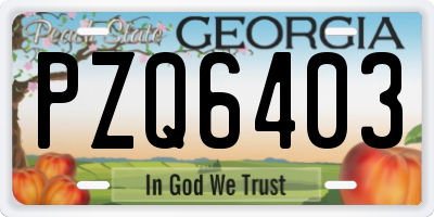 GA license plate PZQ6403