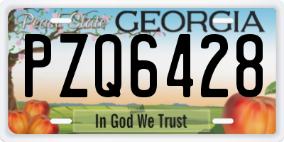 GA license plate PZQ6428