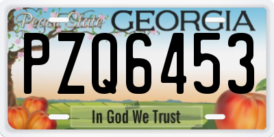 GA license plate PZQ6453