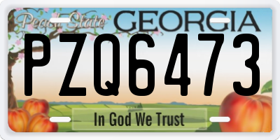 GA license plate PZQ6473