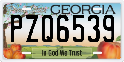 GA license plate PZQ6539