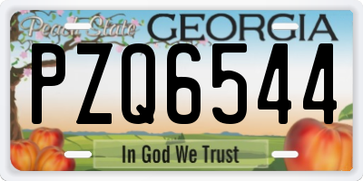 GA license plate PZQ6544