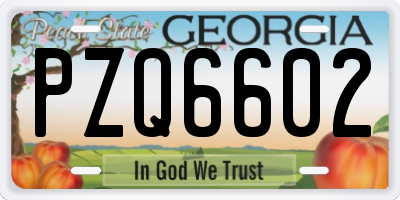 GA license plate PZQ6602