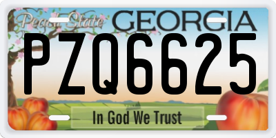 GA license plate PZQ6625