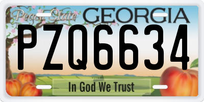 GA license plate PZQ6634