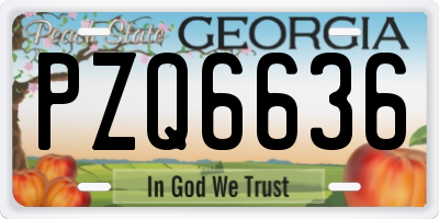 GA license plate PZQ6636