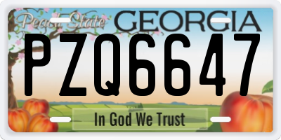 GA license plate PZQ6647