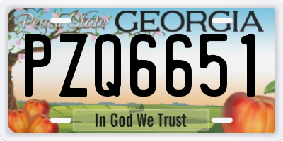 GA license plate PZQ6651