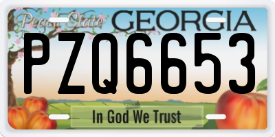 GA license plate PZQ6653