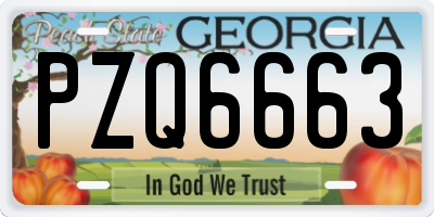 GA license plate PZQ6663