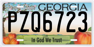GA license plate PZQ6723