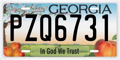 GA license plate PZQ6731