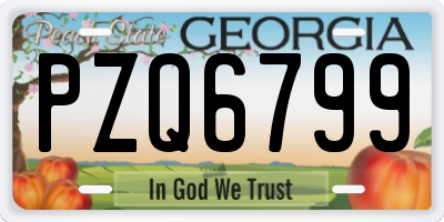 GA license plate PZQ6799