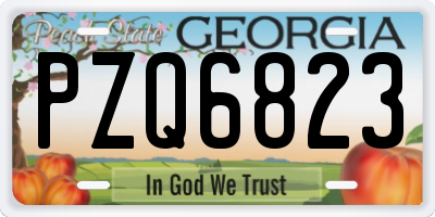 GA license plate PZQ6823