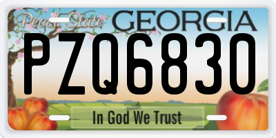 GA license plate PZQ6830
