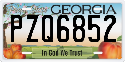 GA license plate PZQ6852