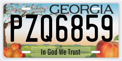 GA license plate PZQ6859