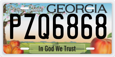 GA license plate PZQ6868