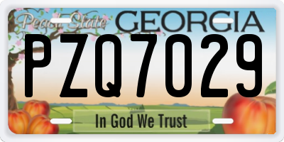 GA license plate PZQ7029