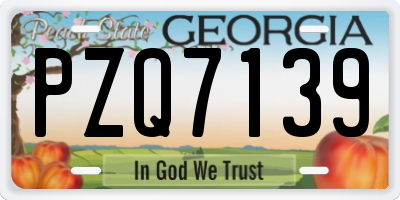 GA license plate PZQ7139