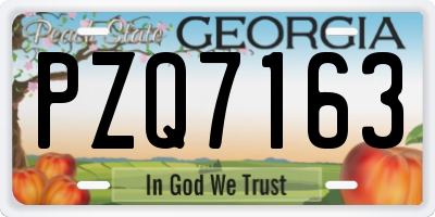 GA license plate PZQ7163