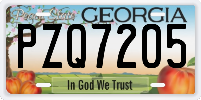 GA license plate PZQ7205