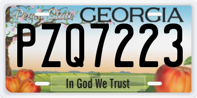 GA license plate PZQ7223