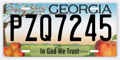 GA license plate PZQ7245