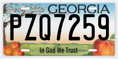 GA license plate PZQ7259