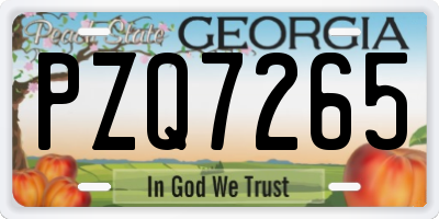 GA license plate PZQ7265