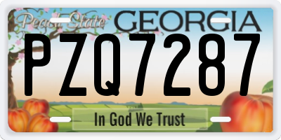 GA license plate PZQ7287