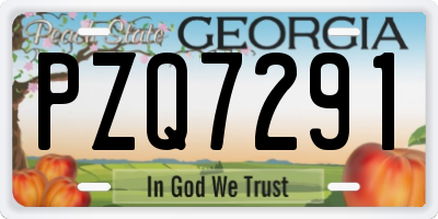 GA license plate PZQ7291