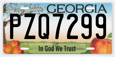 GA license plate PZQ7299