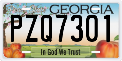 GA license plate PZQ7301