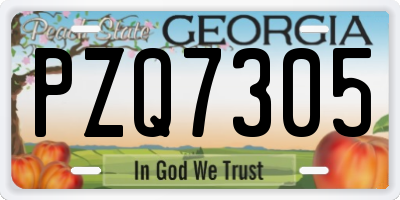 GA license plate PZQ7305