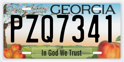 GA license plate PZQ7341