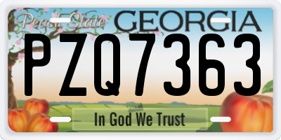 GA license plate PZQ7363