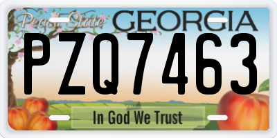 GA license plate PZQ7463