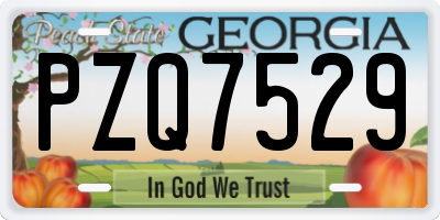 GA license plate PZQ7529