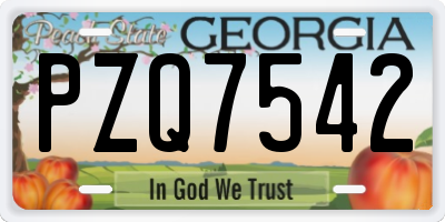 GA license plate PZQ7542