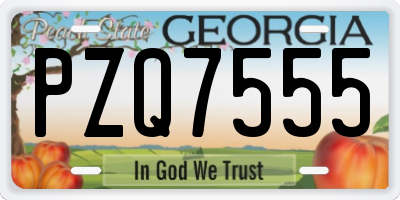 GA license plate PZQ7555