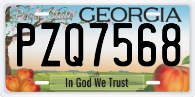 GA license plate PZQ7568