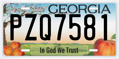 GA license plate PZQ7581