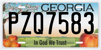 GA license plate PZQ7583