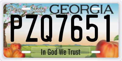 GA license plate PZQ7651