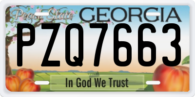 GA license plate PZQ7663