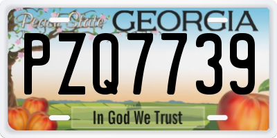 GA license plate PZQ7739